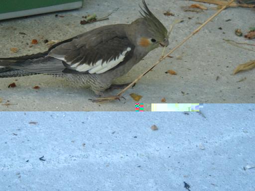 DSC02751.JPG