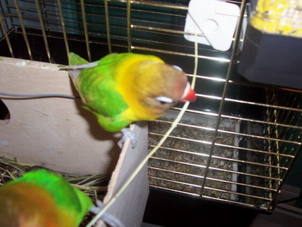 000_0414.jpg