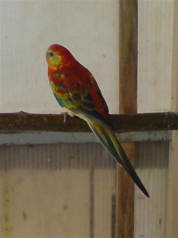 dsc017 (Small).jpg