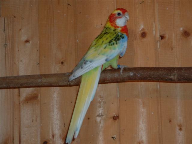 DSCF0048 (Small).JPG