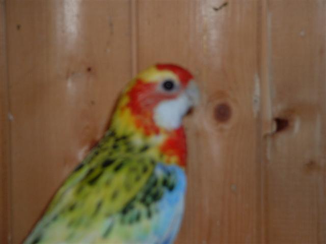 DSCF0049 (Small).JPG