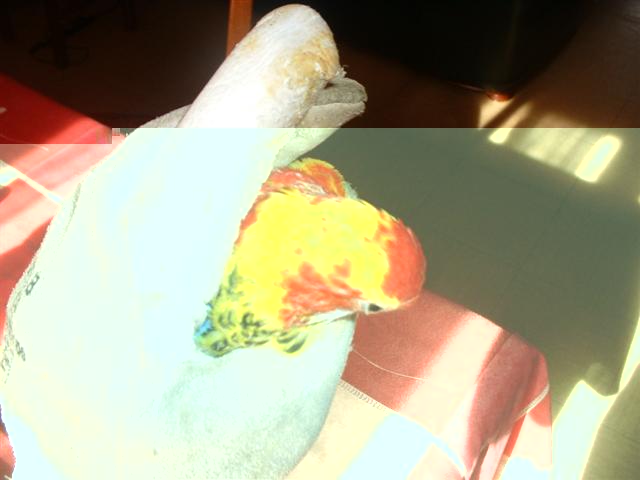 DSCF0048 (Small) (2).JPG