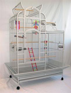 CAGE (WinCE).jpg