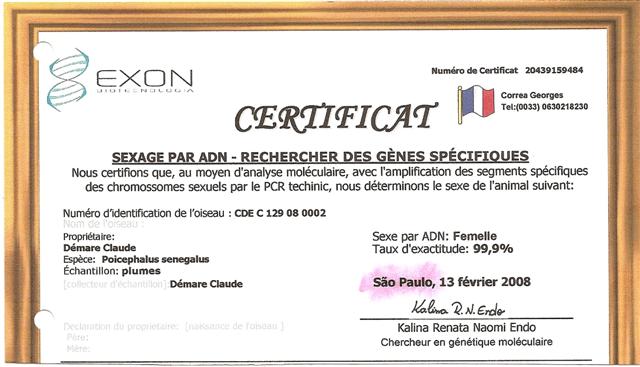 NumÃ©riser0003 (Small).jpg