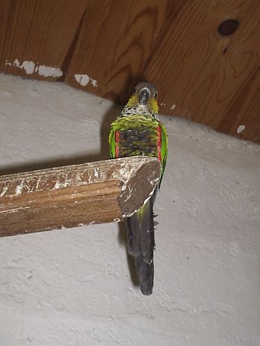 30 10 2008 003.jpg
