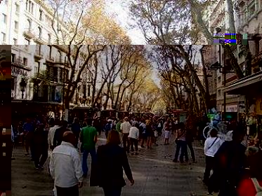 DSC00821.JPG
