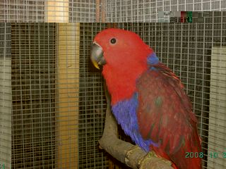 PICT2032.jpg