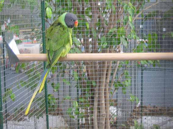 IMG_4546.JPG