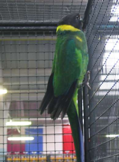 IMG_4573.JPG