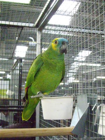 Photo 033 (Small).jpg