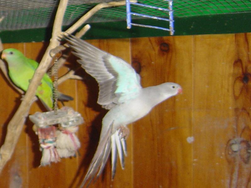 DSC01724b.jpg