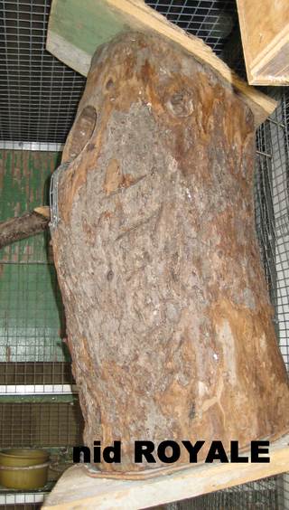a Nid Royale.jpg