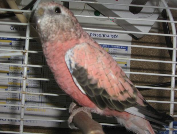 IMG 2.jpg