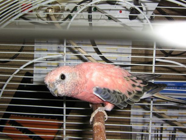 IMG 3.jpg