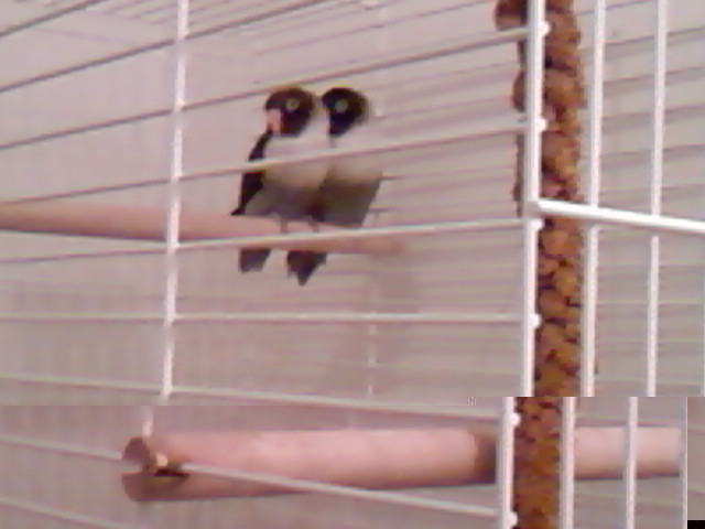 SP_A0128.jpg