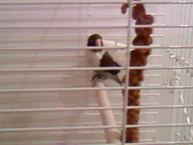 SP_A0120.jpg