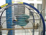 14032009 044.jpg