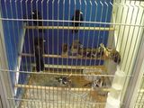14032009 045.jpg