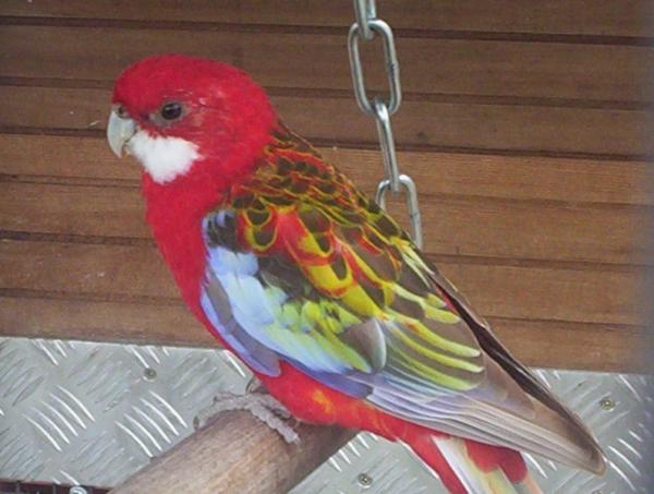 photo nouvelle 029_1.jpg