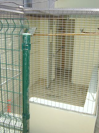 DSC01005.JPG