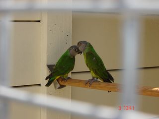 DSC01004.JPG