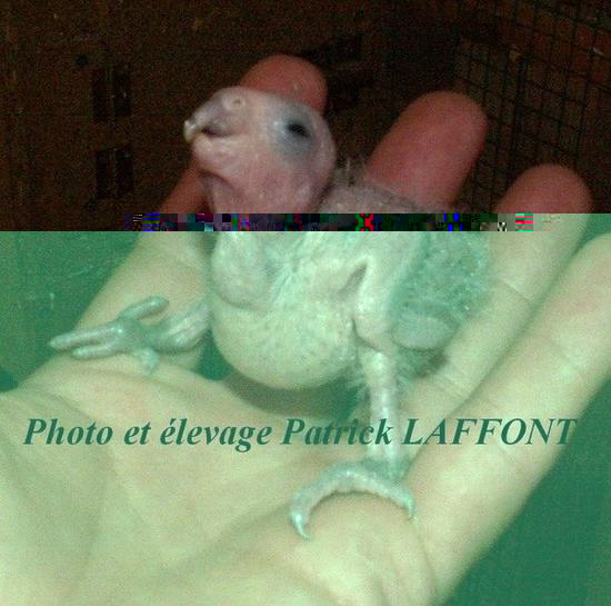 Photo 032.jpg