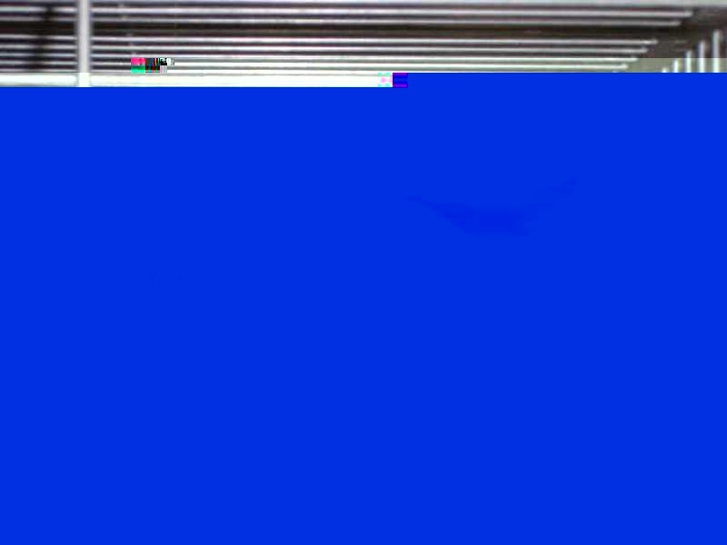 SL383224.JPG