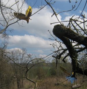 Gandor et GaÃ¯a 4b).jpg