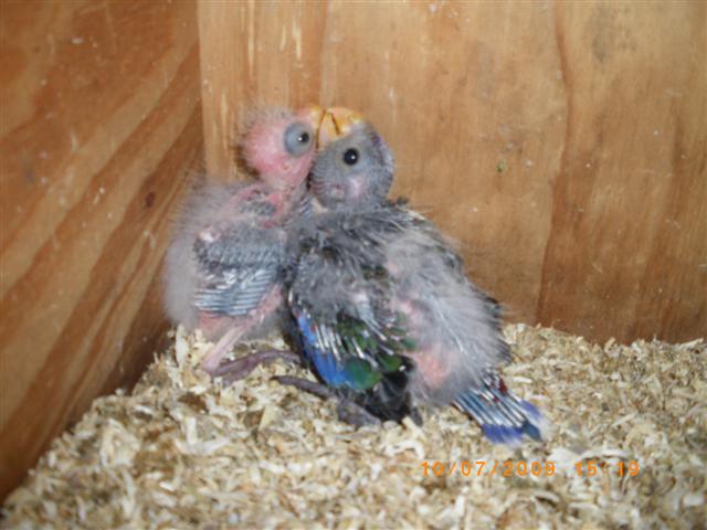 IMGP0862 (Small).JPG