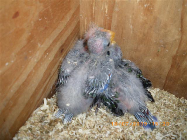 IMGP0863 (Small).JPG