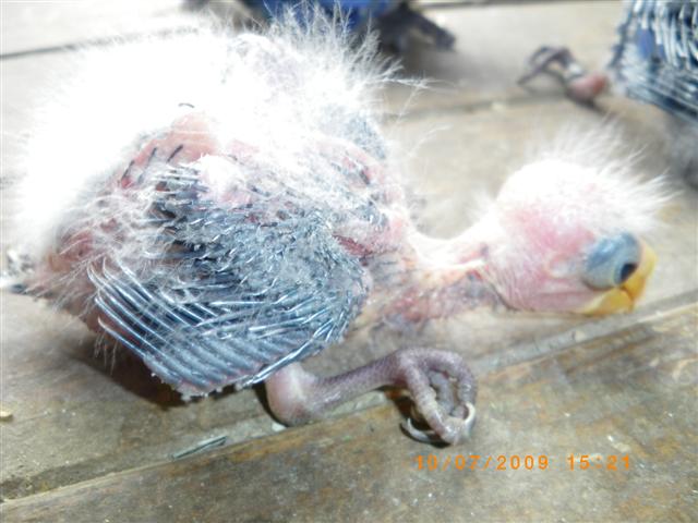 IMGP0865 (Small).JPG