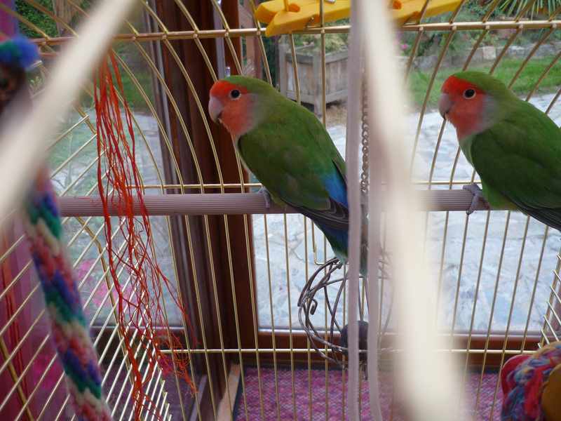 P1000843.jpg