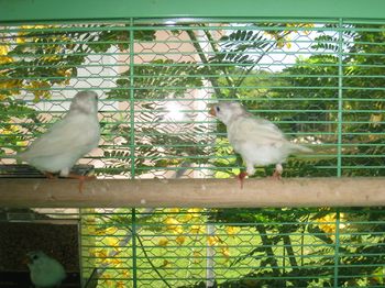 IMG_0495.JPG