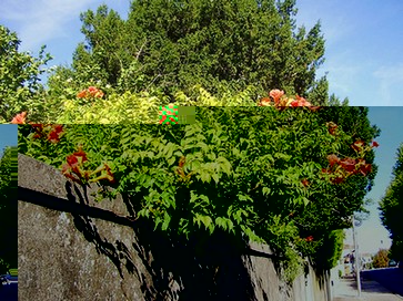 2750813738_2b09835271.jpg