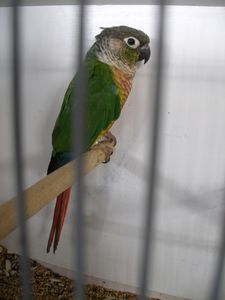 P1010076x.jpg
