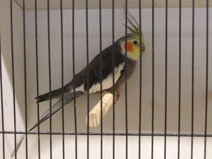 P1010002x.jpg