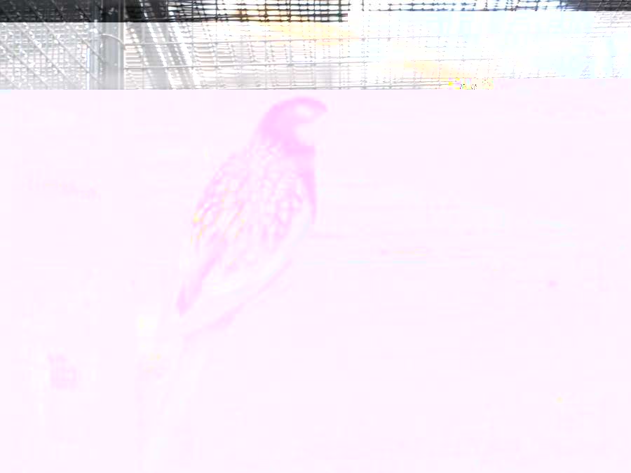P1010134x.jpg