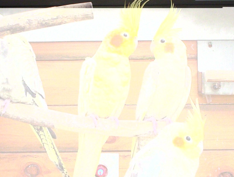 photo de mardi 034.jpg