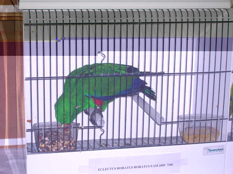 024 nvc.jpg