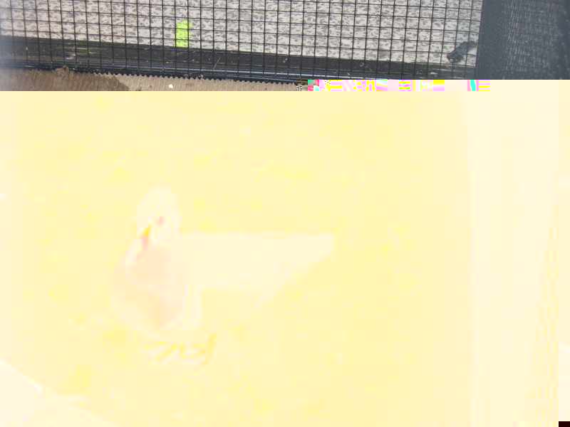 165 nvc.jpg
