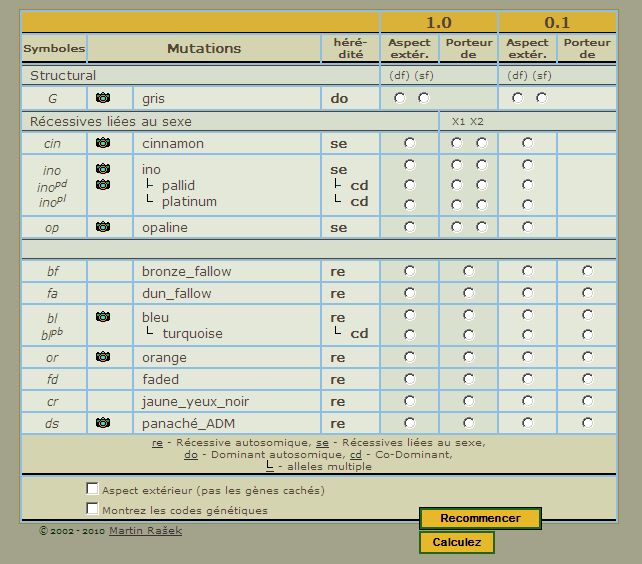 Gencalc Croupions Rouges Bleus Australiens.jpg