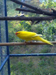 24072010401 (WinCE).jpg