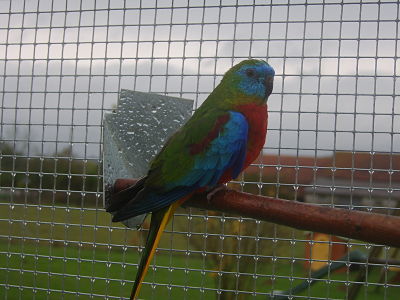 1 11 2010_opt.jpg