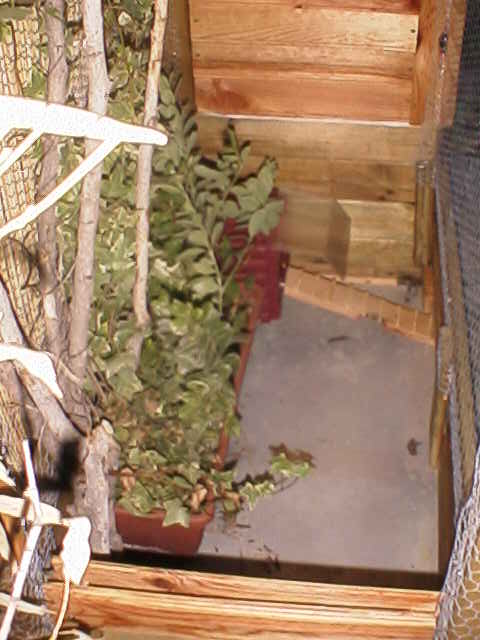 RIM00049.JPG