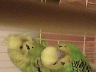 SP_A0223.jpg