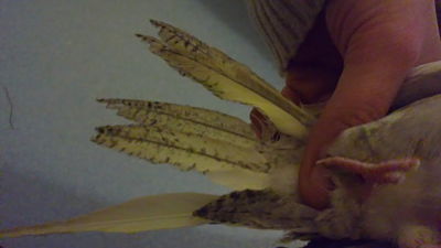 06022011146_opt.jpg