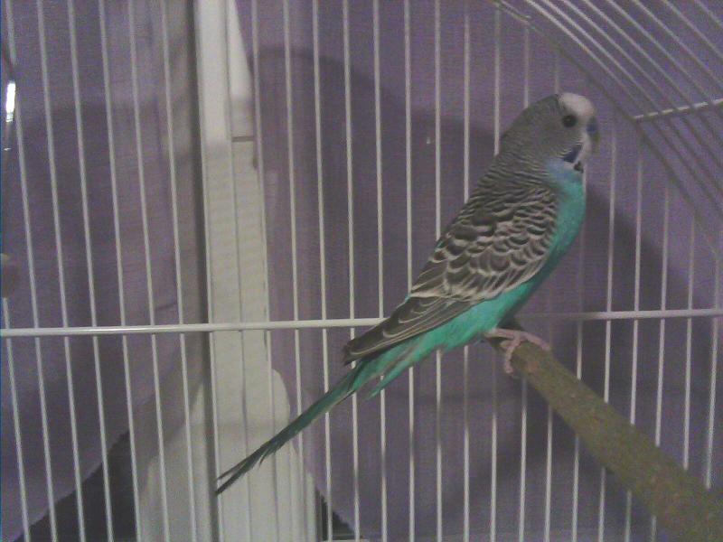 IMG0029A.jpg