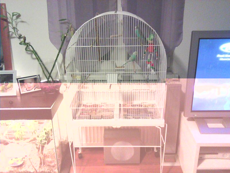 IMG0033A.jpg
