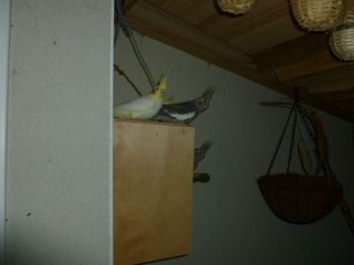 P1000049.JPG