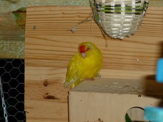 P1000050.JPG